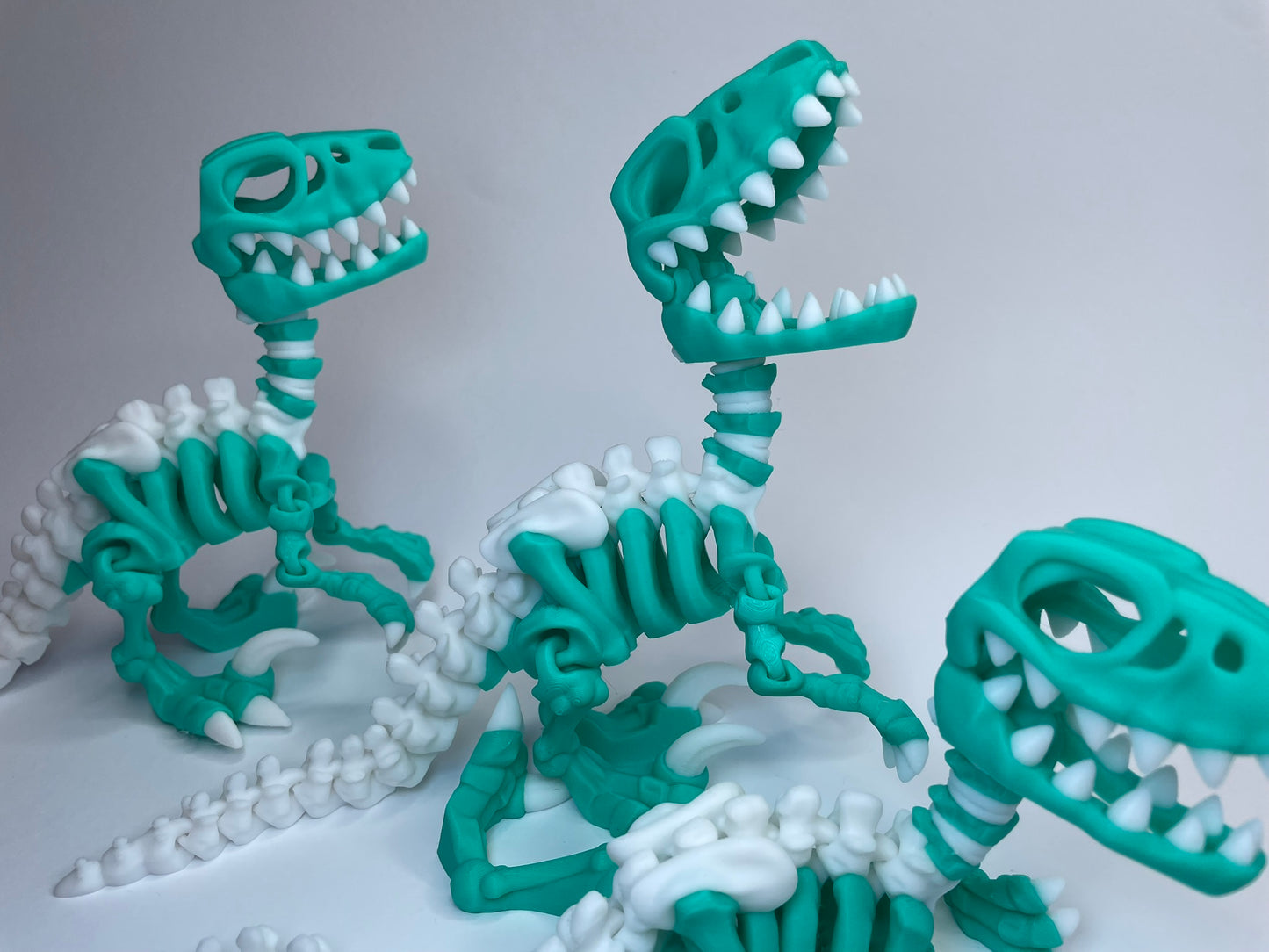 Mehrere Flexi Skelett Raptoren – 3D-gedruckte Dinosaurier Figuren aus PLA, beweglich und handgemacht von 3DruckAS