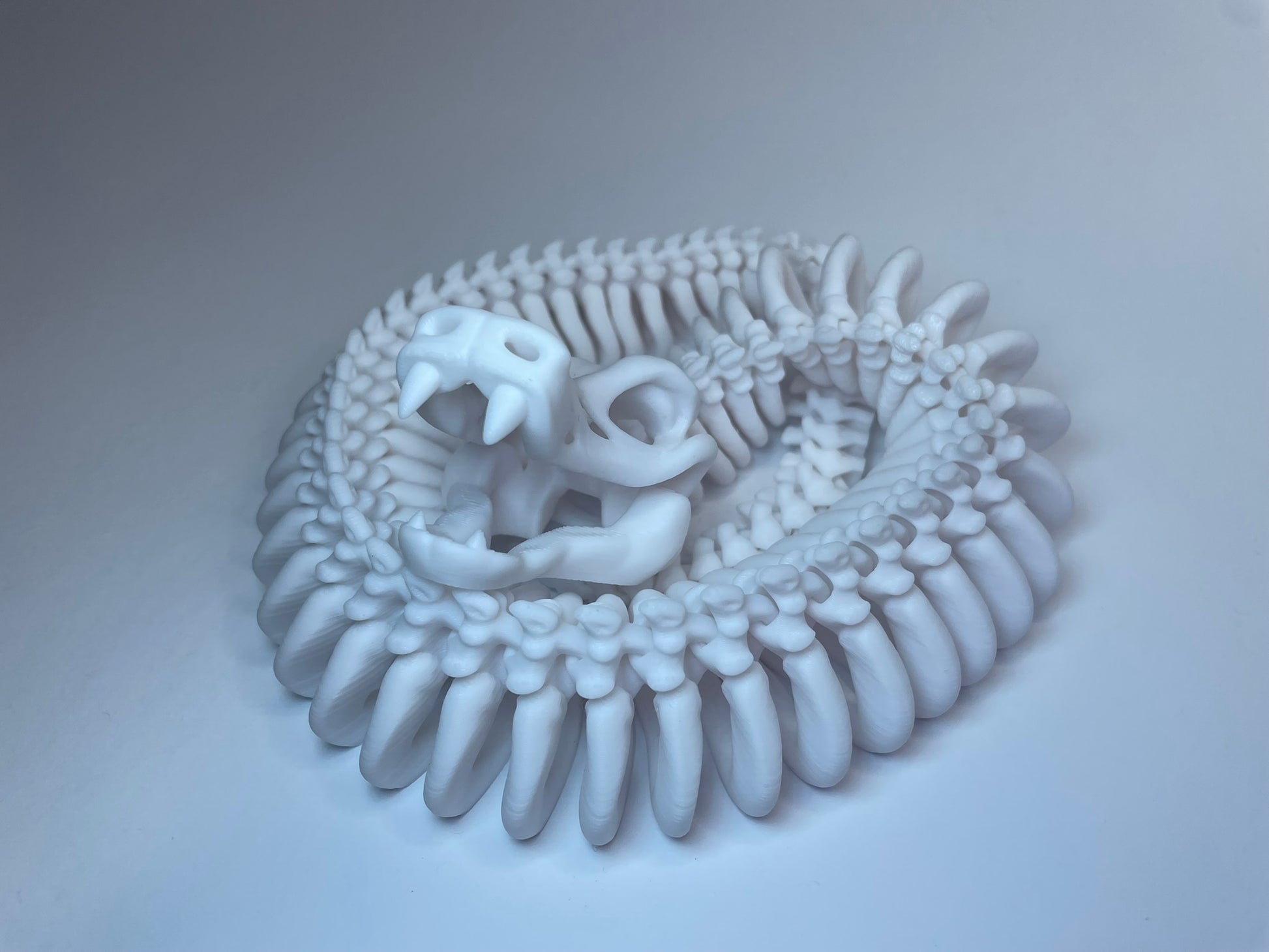 Flexi Skelett Schlange aus PLA, 3D-gedruckt von 3DruckAS