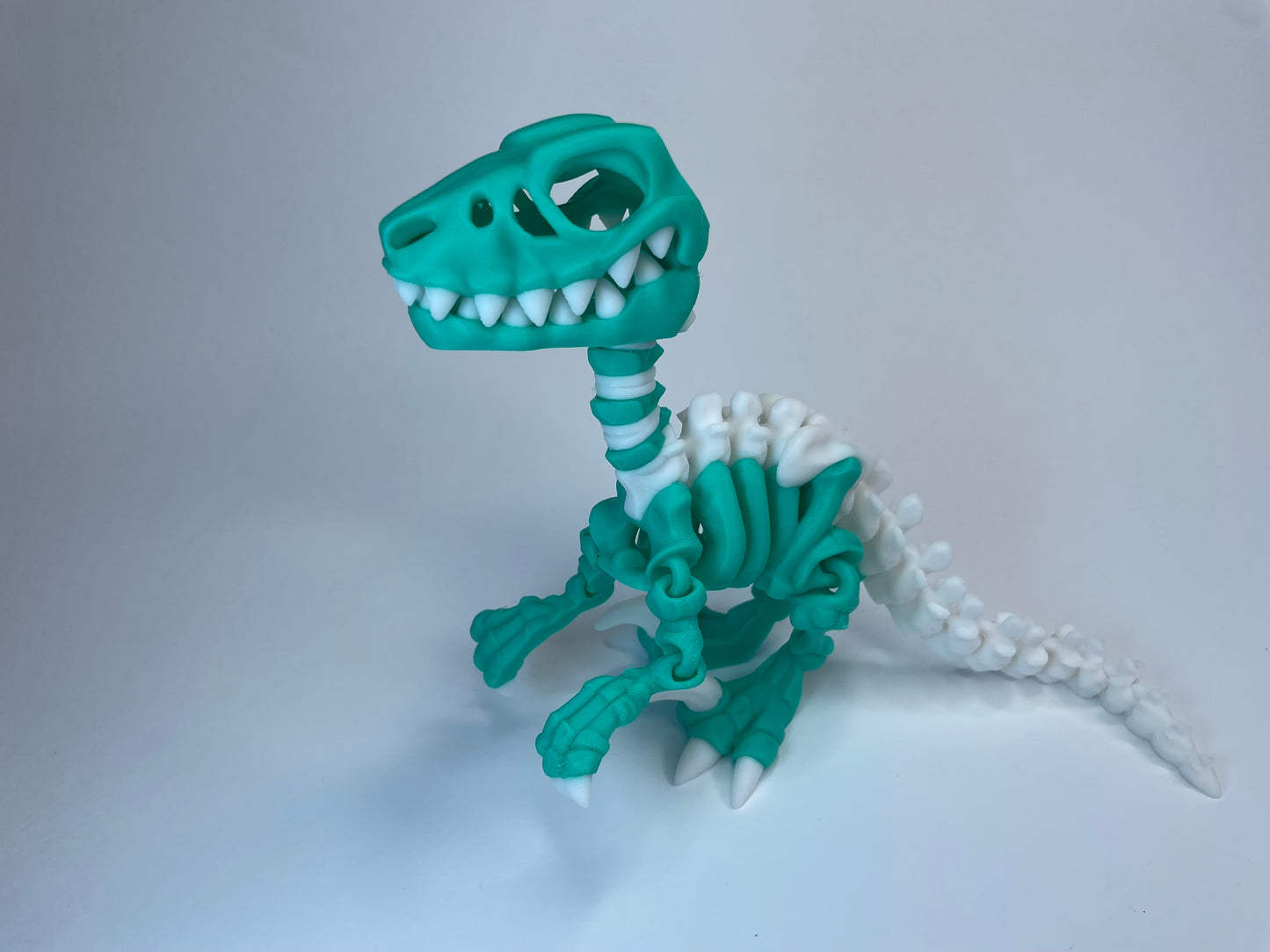 Flexi Skelett Raptor "Greddy" aus PLA im 3D-Druck – bewegliche Dinosaurier Figur in Grün-Weiß von 3DruckAS