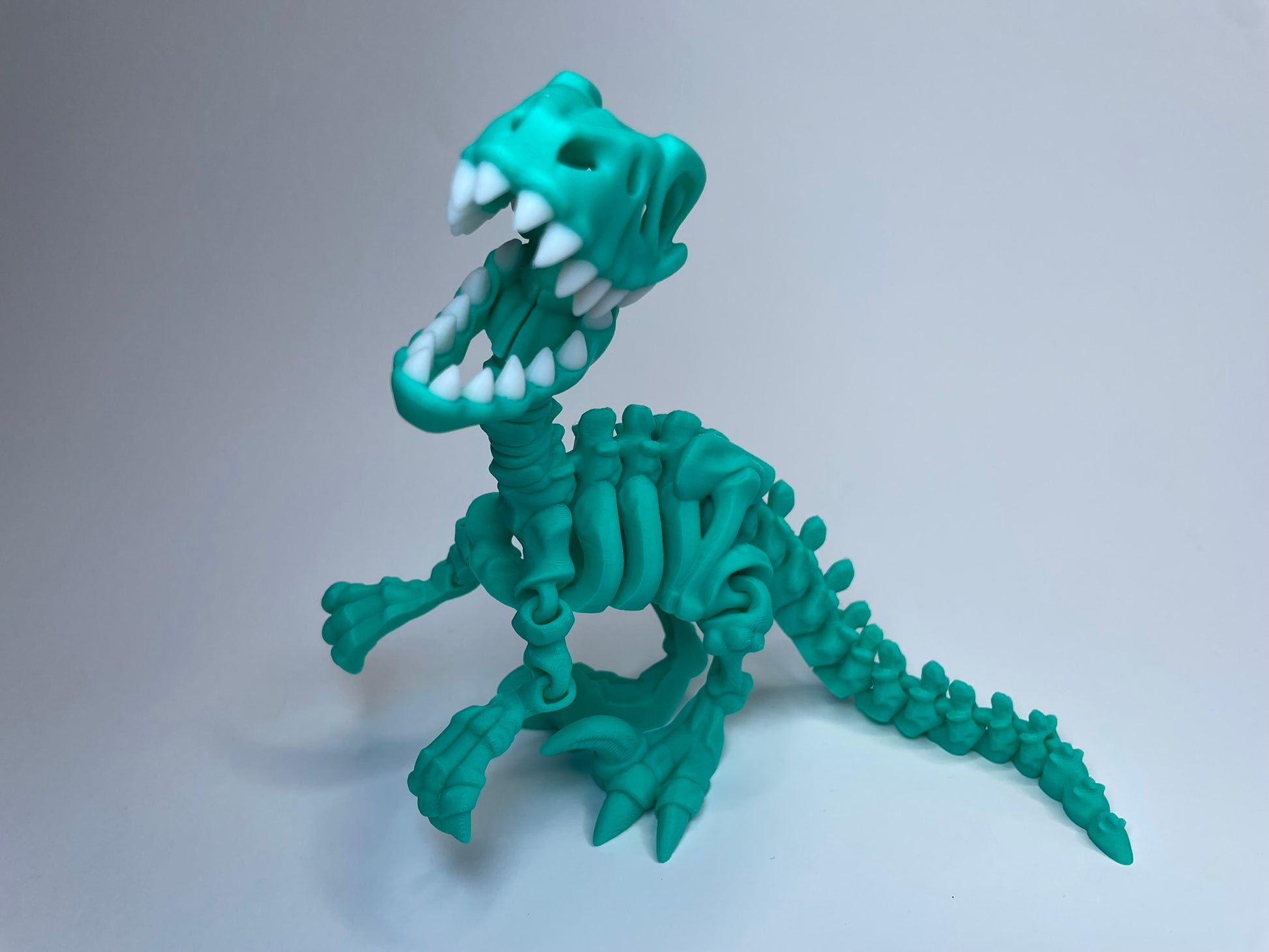 Flexi Skelett Raptor "Freddy" | Hergestellt in Deutschland | PLA | Nachhaltig | 