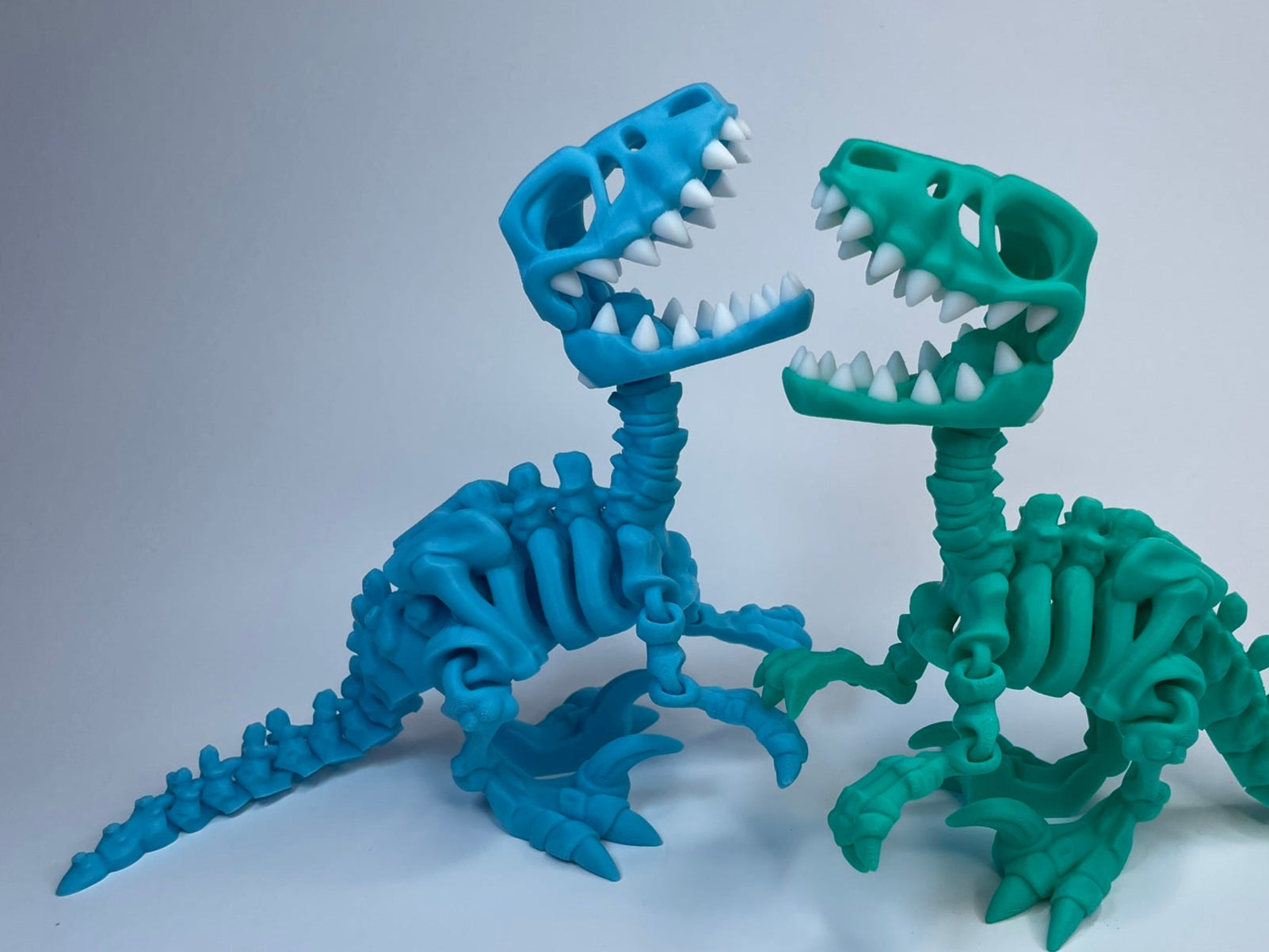 Flexi Skelett Raptor aus PLA, 3D-gedruckt von 3DruckAS