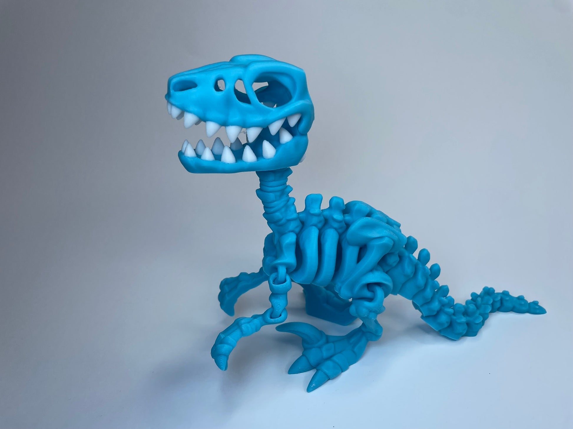 Freddy - Flexi Skelett Raptor nachhaltigem PLA in blau, 3D-gedruckt von 3DruckAS