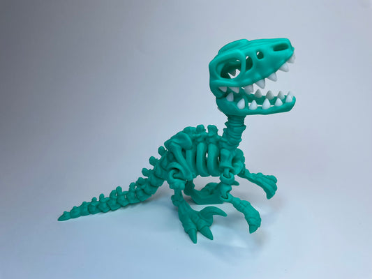 Flexi Skelett Raptor "Freddy" | Hergestellt im Allgäu | PLA | Nachhaltig | Art.Nr.: 3DAS-2503-008