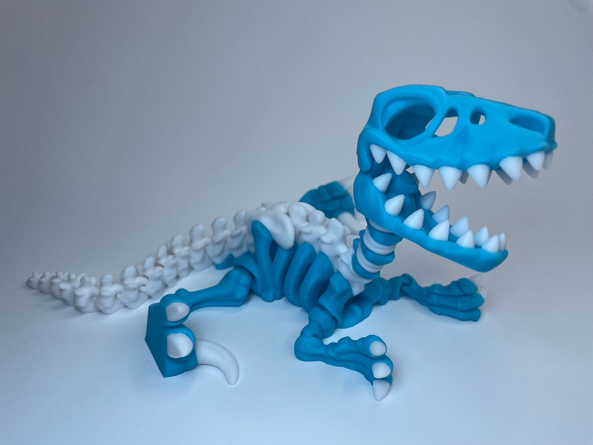 Detailansicht des Flexi Skelett Raptor – 3D-gedruckte Figur mit beweglichem Kopf und Knochen-Optik