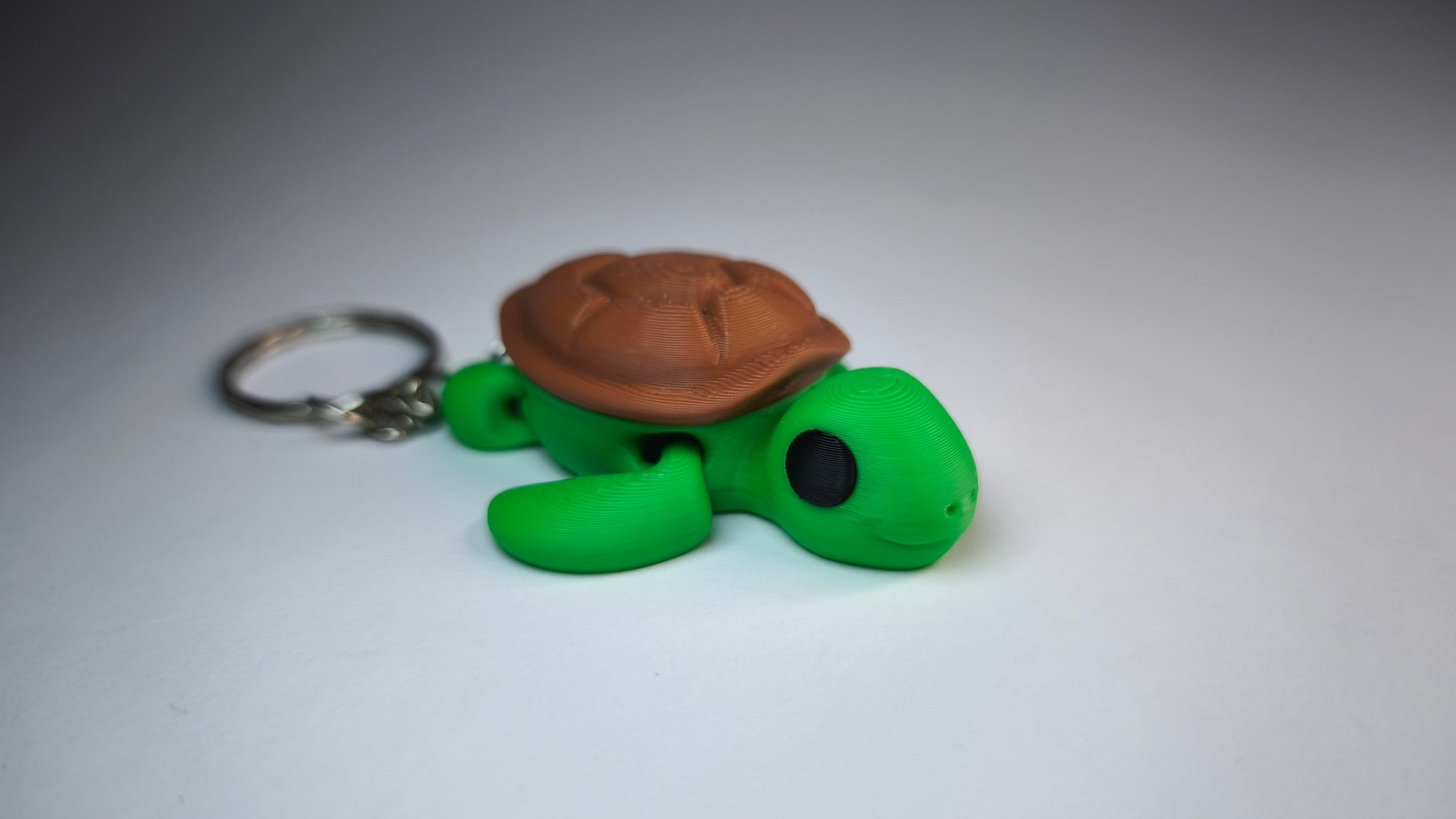Turbo die Flexi-Schildkröte – originelles Geschenk für Tierfreunde