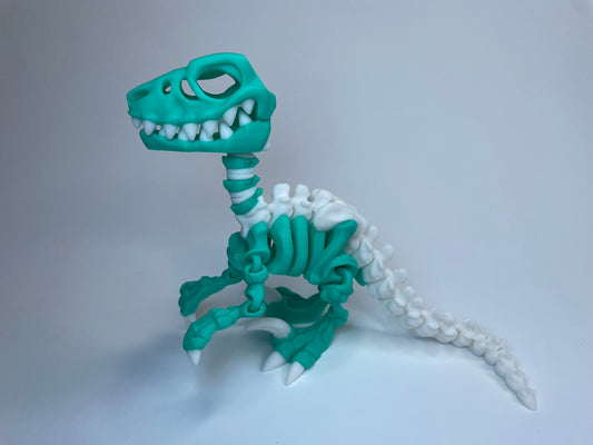 3D-gedruckte Flexi Dinosaurier Figur – "Greddy" Skelett Raptor aus PLA, beweglich und nachhaltig hergestellt von 3DruckAS